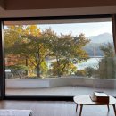 상수리나무아래 호스텔 | 12개월 돌아기랑 월악산유스호스텔 가을 여행(207호/조식/시설/식당)