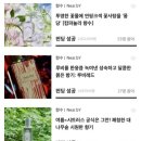 스투디오니어바이 이미지