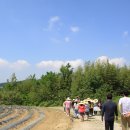 묘량중앙초등학교 이미지