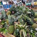 춘천농협농수산물종합유통센터 이미지