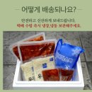 퇴계유통
