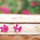 기독교백화점 이미지