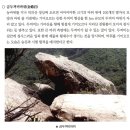 경남 거창 덕의산과 금두꺼비 바위, 농바위, 범바위- 위치 불확실 이미지