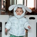 [11.1~11.11] 올해가 너무 빨리 간 거 같아요