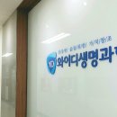 블루와이디
