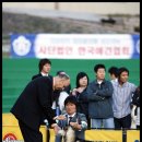 샤론 이미지