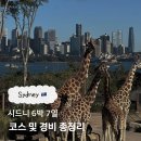 193브레드하우스 | 시드니 6박7일 여행 코스 및 경비 총정리! 해밀턴 아일랜드, 스카이다이빙 포함된 일정