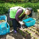 자연보호 헌장비 이미지