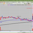 ㈜신대양 이미지