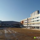 중앙초등학교2 이미지
