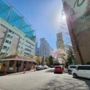 대동가구백화점 이미지