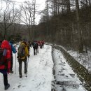 태백산약초식당 이미지