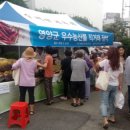 공원관리사업소 이미지