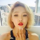 일삼삼 - 송파구 | 일삼삼