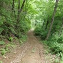 목통마을 내 이미지