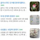 홍쌤공방