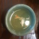 우미회관 | 종각역 맛집 저녁 안주에 진심인 요리주점 우미회관 후기