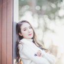 김서하 카카오 검색결과