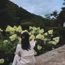 솔마루펜션 | 영월 감성숙소, 아름다운 정원과 계곡이 있는 솔마루펜션