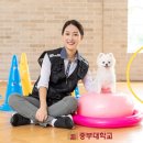 에버펫동물병원 - 송파구 오금로 422 | 에버펫동물병원