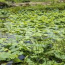 소터농장 이미지