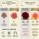 프리저브드 플라워 레터링리스 | [공지] 어버이날꽃선물 고민 끝, 오래 남는 마음을 전하는 시들지않는꽃 프리저브드 카네이션 리스 추천