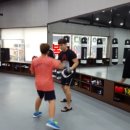 에이스미트 이미지