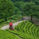 봇재다원화장실 이미지