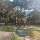 트리팜 이미지