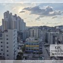 홍산 공인중개사무소 이미지