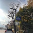 걸매축구장 인조잔디구장 | 서울 관악 낙성대 인조잔디 축구장 관악구민운동장 주차 예약 후기