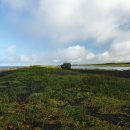 연어의고향 이미지