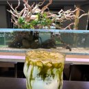 슬로우커피2