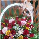 샤론의꽃 이미지