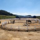 악양승마장 이미지