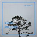 신나는학교(대안학교) | [미라클모닝]190일째_독립36일째_하늘에 구름이 잔뜩~ 비가 내릴 준비? 앗싸~ ^^*(0405)