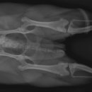 기장동물병원 이미지