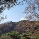 캐빈빌리지 펜션 이미지