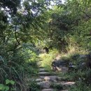 복주민박 이미지