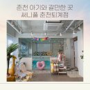 써니풀 | [아기와 갈만한 곳 추천] 써니풀 춘천퇴계점 리얼후기｜내돈내산｜아기가 좋아하는 물놀이 프라이빗 수영장