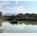 [221122-전남 영암][월출산] 바위가 꽃이고 숲이더라…바라만 봐도 좋은 산 굳이 오른 이유
