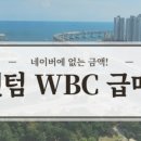 WBC the PALACE 오피스텔 이미지