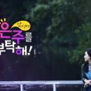 제주써니 이미지