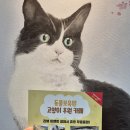 동물보육원고양이후원카페