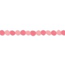 뚱언니네 이미지