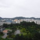 감박산농장 티스토리