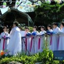 연화축사 Daum카페