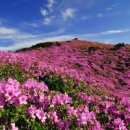 진주 근교 경남 합천 가볼만한곳 진주 여행 코스 황매산 철쭉 축제 등 이미지