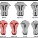 마산보건소 | [임신 전 필수 검사] 마산보건소 산전검사 후기(비용, 신청 방법, 병원 검사 등)