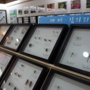 자산공원(빠삐용관) 이미지